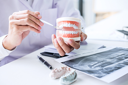 A dental professional holding a tooth model while seated at a desk with dental equipment and images.