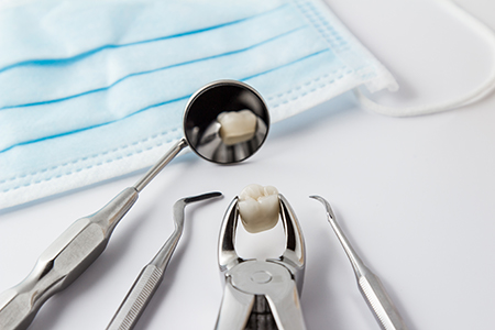 This image shows a dental tool with a tooth placed in its center, surrounded by other dental instruments on a white surface, with a blue surgical drape in the background.