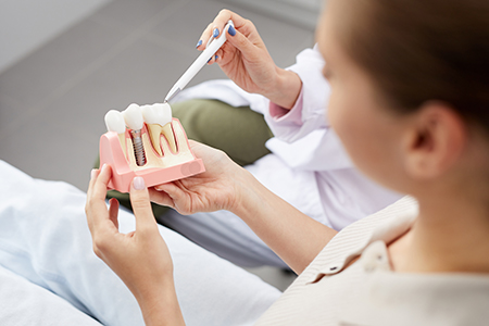 A dental professional examines a model mouth with a toothpick.