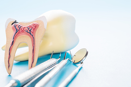 The image shows two photographs side by side  on the left, there s a toothbrush with a toothpaste tube and a dental mirror  on the right, there s an illustration of a tooth being extracted, with visible roots and gums.